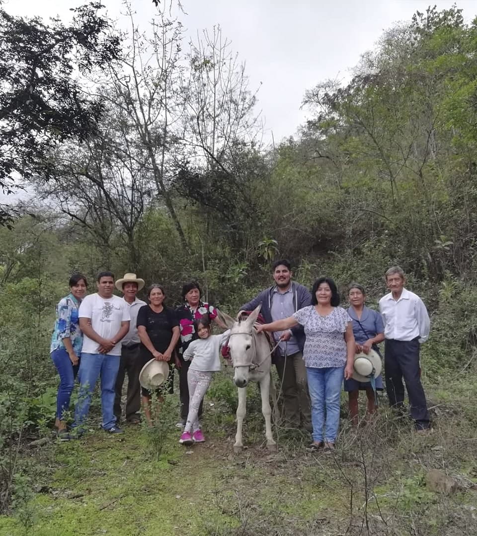 Velasco y la diversidad musical que despegó con ayuda de la Reforma Agraria