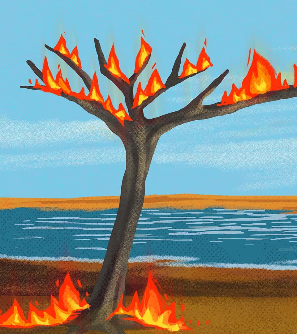 El Perú rural: transformación y retos